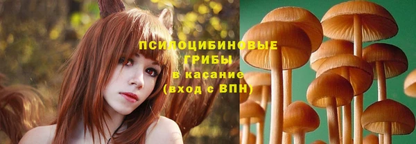 молекула духа Белоозёрский