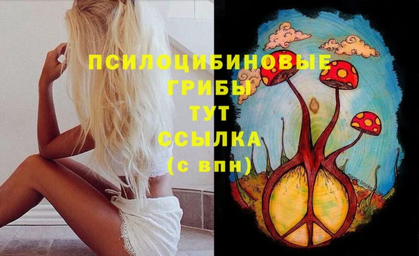 молекула духа Белоозёрский