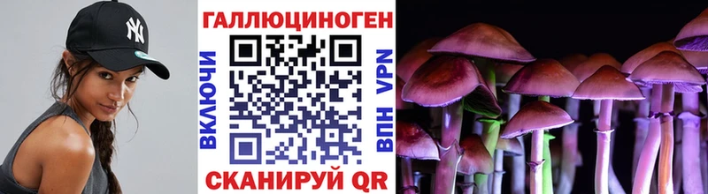 Псилоцибиновые грибы Magic Shrooms Югорск